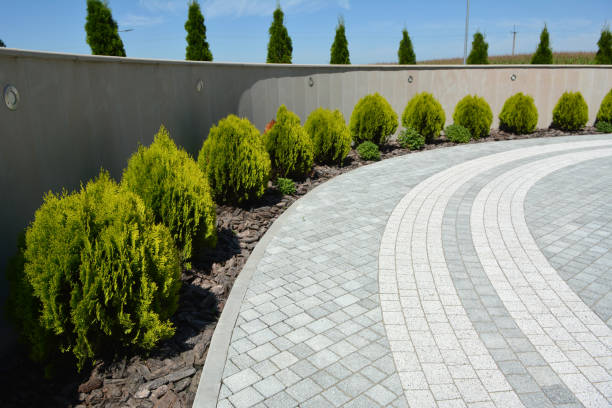 Best Professional Driveway Pavers  in Belmont, PA